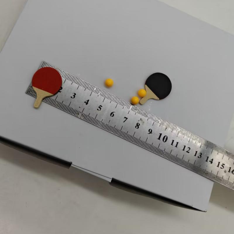 Modèle de décoration de maison - Table Tennis Animation avis et prix