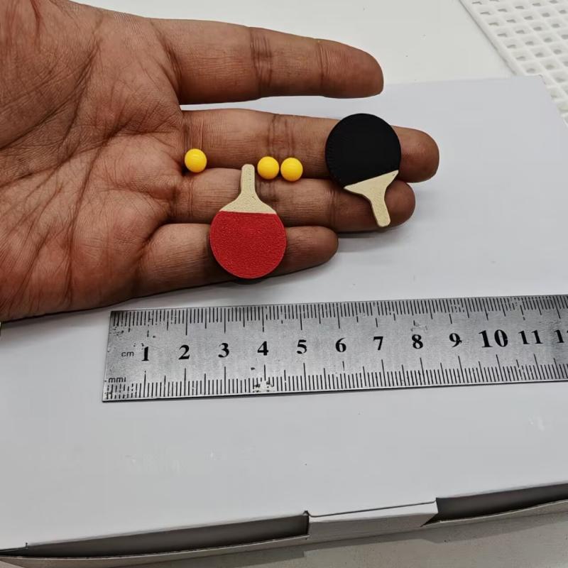 Modèle de décoration de maison - Table Tennis Animation avis et prix